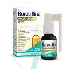 Neoborocillina Propolmiele Spray Gola